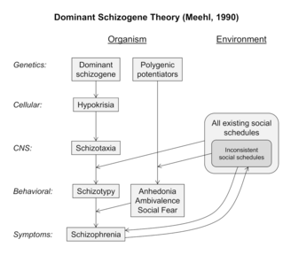 Graphical depiction of Paul Meehl's dominant schizogene theory of schizophrenia