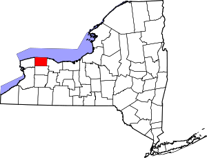 แผนที่ของนิวยอร์กแสดงเส้นเขต  เคาน์ตีในมุมตะวันตกเฉียงเหนือของรัฐตามแนวชายฝั่งทะเลสาบออนแทรีโอถูกเน้นด้วยสีแดง