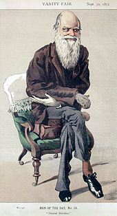 Full length portrait of a very thin white bearded Darwin, seated but leaning eagerly forward and smiling.