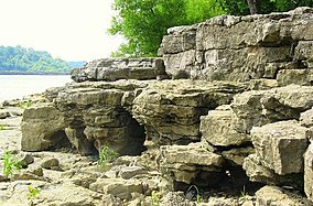 オハイオ川の化石層.JPG