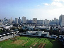 A grassy ground with skyscrapers behind it