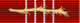 Medal of Freedom stripe gullpalme.svg