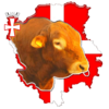 Volyn meat cattle logo.png