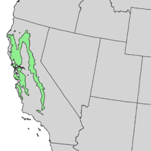 แผนที่ระยะ Aesculus californica 1.png