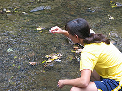 A woman takes samples of water from a river.