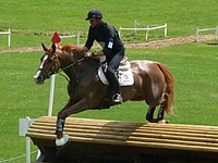 A horse and rider jumping a fence