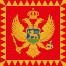 มาตรฐานของประธานาธิบดี Montenegro.svg