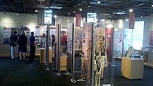 crutches, braces, photographs, and other exhibits