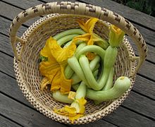 Curved green squashes