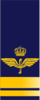 SWE-Airforce-löjtnant.png
