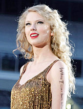 A photograph of Taylor Swift performing at Heinz Field