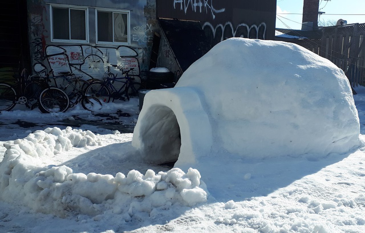 يسكن الاسكيمو في البيت الثلجي في فصل