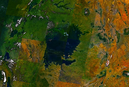 Lago Victoria Landsat 7.png
