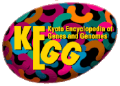 KEGG ฐานข้อมูล logo.gif